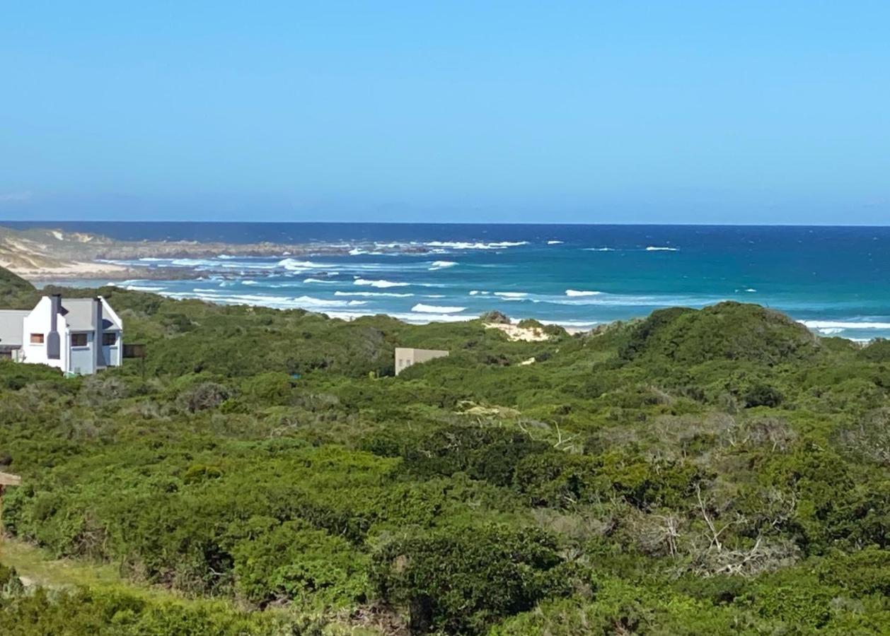 A Real Gem In Cape St Francis Villa Cape St. Francis Bagian luar foto